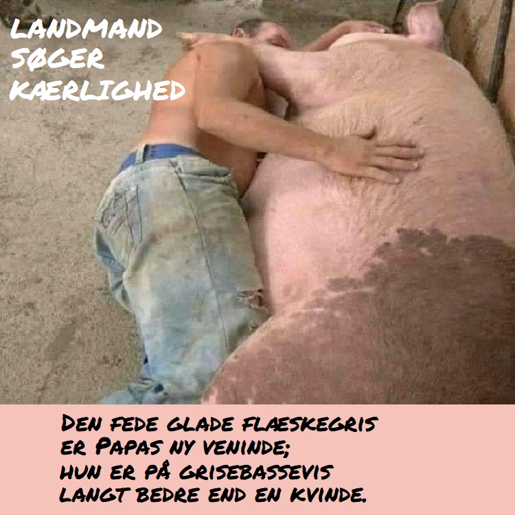 Flæskegris landmand kærlighed gris svin